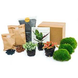 DIY-Terrarium Nachfüll- und Startpaket mit verschiedenen Pflanzenarten und Materialien