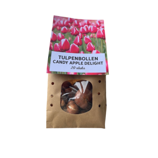 20 Tulpenzwiebeln Candy Apple Delight, Blumenzwiebeln