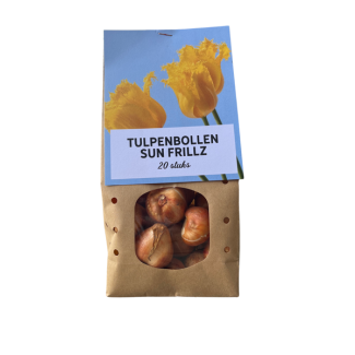 Sun Frillz - Tulpenzwiebeln 20 Stück, einzigartige, gefranster Blütenblätter und strahlende, gelbe Farbe, Zwiebeln