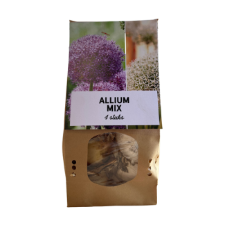 Allium Mix Zwiebeln / Zierzwiebeln 4 Stück - Verschiedene Arten von Allium Zwiebeln