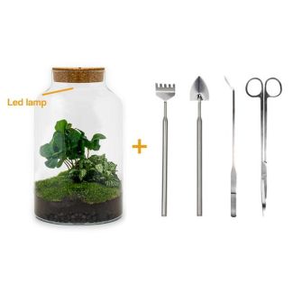 Pflanzen-Terrarium mit Beleuchtung - Milchkaffee - ↕ 31 cm - Selbstbau mit Harke, Schaufel, Pinzette und Schere