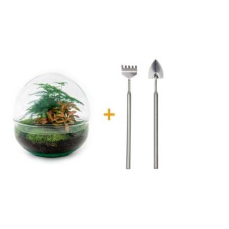 Selbstgemachtes Pflanzen-Terrarium - Kuppel Rot - Höhe 20 cm - Inklusive Rechen, Schaufel