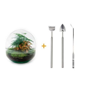 Selbstbau-Pflanzenterrarium - Kuppel Rot - Höhe 20 cm - Inklusive Rechen, Schaufel, Pinzette
