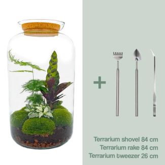 Selbstbau-Terrarium: Hol dir ein Selbstversorgendes Biotop ins Haus mit Rechen, Schaufel und Pinzette