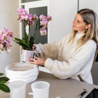 Kolibri Orchideen | weiße Orchideen-Set in Como-Schale mit Wasserreservoir | drei weiße Orchideen Amabilis 9cm | Mono Bouquet weiß mit selbstversorgendem Wasserreservoir