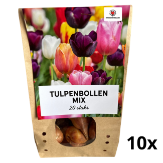 200 Stück Tulpenmix – 20 Blumenzwiebeln in 10 Tütchen – Bunte Frühjahrsblüte