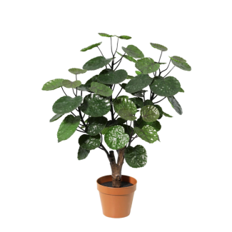 Kunst Polyscias Fabian 55 cm