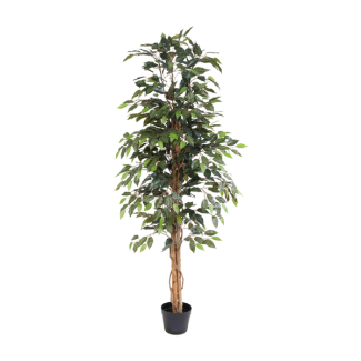 Kunstficus Benjamina - 160cm