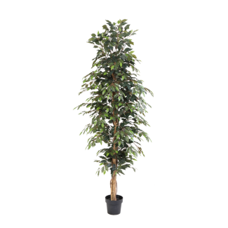 Kunst-Ficus Benjamina - 205cm