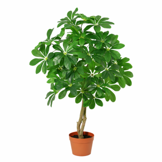 Kunst-Schefflera Arboricola
