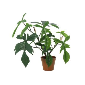 Kunst-Philodendron Florida