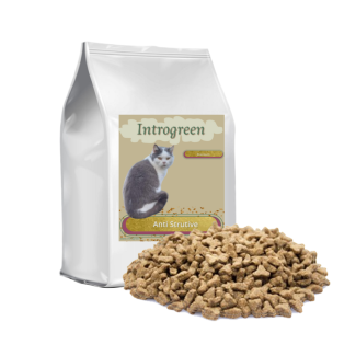 Premium Katze Anti-Struvit – Komplettdiätfutter gegen Struvitsteine 2 - 10 kg
