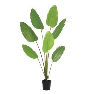 Kunstpflanze Strelitzia Nicolai 135 - 180 cm