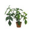 Kunst-Philodendron Florida