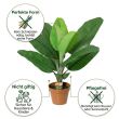 Kunst-Philodendron Dschungelkönig vorteile