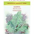 Bladkoolzaad Red Russian – biologische bladkool met paarse nerven