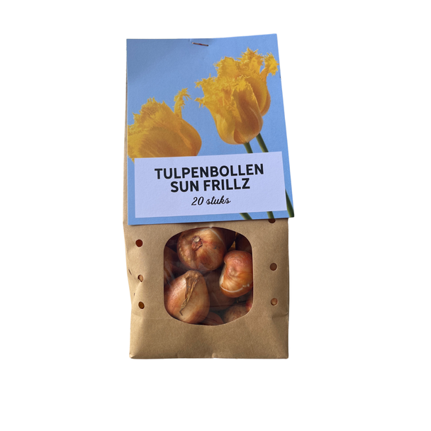 Sun Frillz - Tulpenzwiebeln 20 Stück, einzigartige, gefranster Blütenblätter und strahlende, gelbe Farbe, Zwiebeln