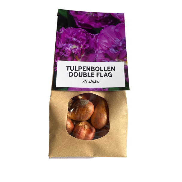 Das niederländische Geschenk: 20 Tulpenzwiebeln Double Flag, Blumenzwiebeln, Lavendel in lila Farbe, frühblühend