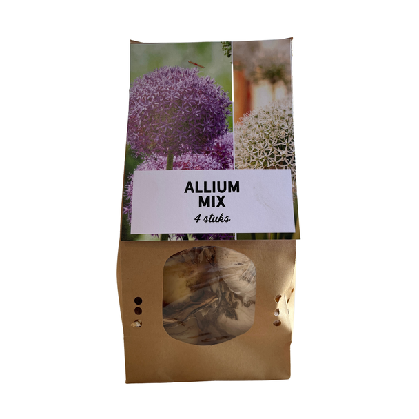 Allium Mix Zwiebeln / Zierzwiebeln 4 Stück - Verschiedene Arten von Allium Zwiebeln