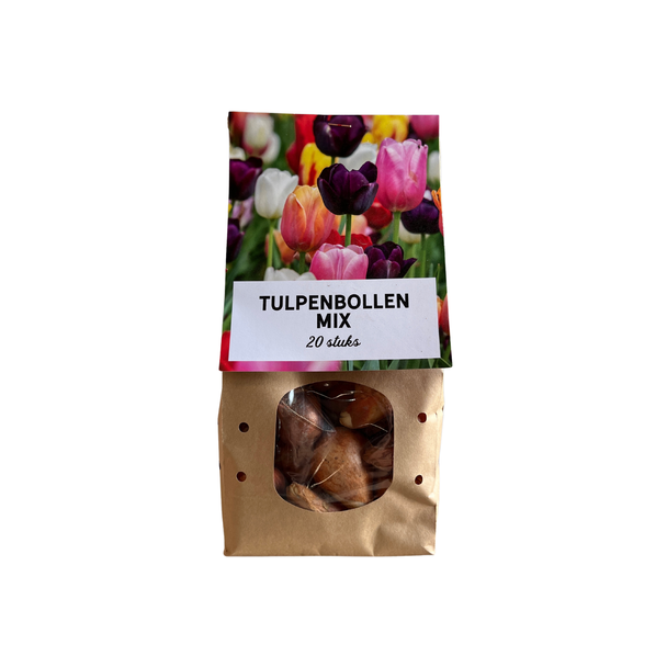300 Tulpenzwiebeln, Tulpenmix! 15 Tütchen mit 20 Tulpenzwiebeln, Blumenzwiebeln in verschiedenen Farben