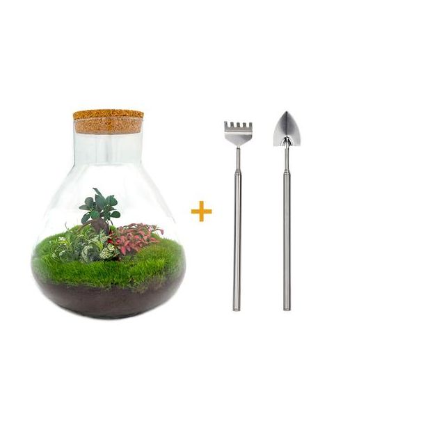 Bau dein eigenes Selbstversorgendes Biotop / Mini-Ökosystem - Botanischer Sam XL - ↕ 35 cm mit Rechen und Schaufel