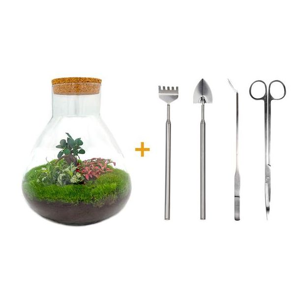 Baue dein eigenes Selbstversorgendes Biotop / Mini-Ökosystem - Botanischer Sam XL - ↕ 35 cm mit Rechen, Schaufel und Pinzette