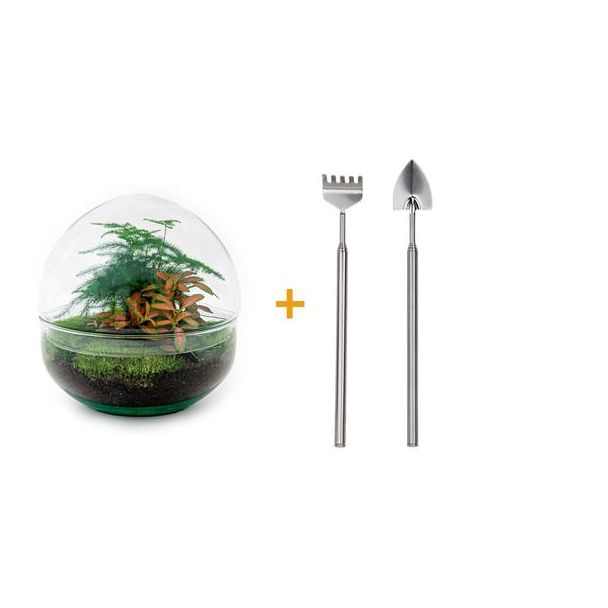 Selbstgemachtes Pflanzen-Terrarium - Kuppel Rot - Höhe 20 cm - Inklusive Rechen, Schaufel
