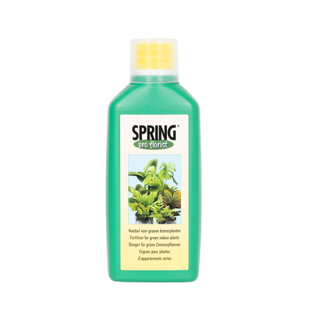 Pflanzenernährung 500ml - Grüne Zimmerpflanzen