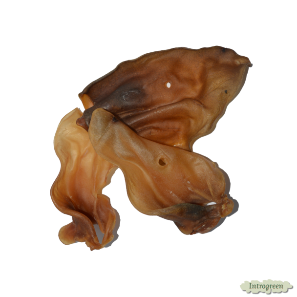 Losse Lams Oren Maxi – krokante hondensnack voor honden