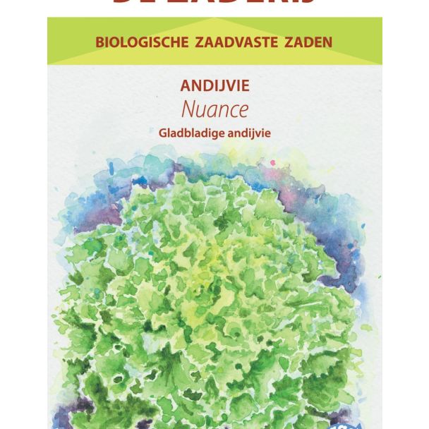 Andijviezaad Nuance – biologisch gladbladige andijvie