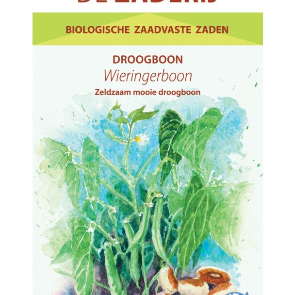 Wieringer Boon zaad – biologische droogboon uit Nederland