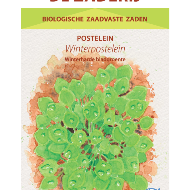 Winterpostelein biologisch zaad
