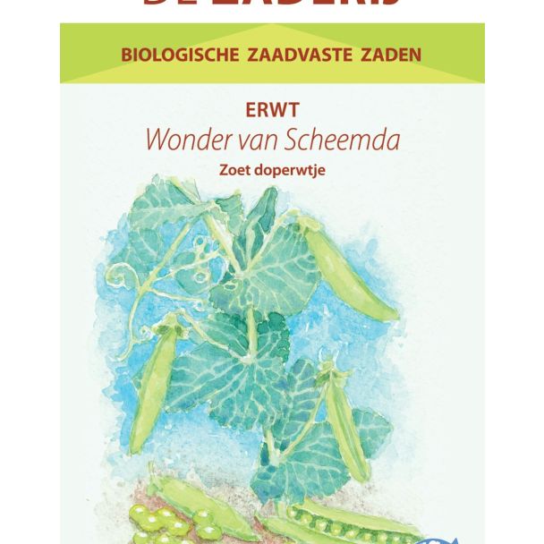 Doperwtzaad Wonder van Scheemda – biologisch erfgoedras