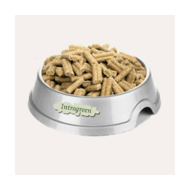 Super Premium Puppy/Junior – optimale spijsvertering en glanzende vacht