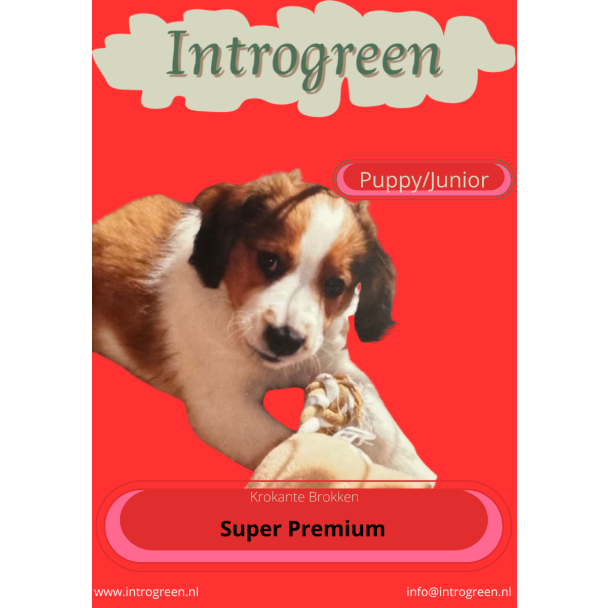 Hondenvoer rijk aan eiwitten en gezonde vetten voor opgroeiende honden