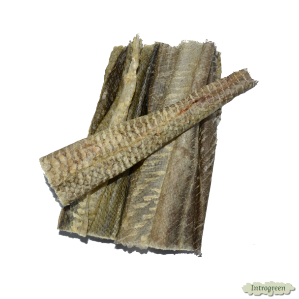 Kabeljauwhuid als beloning voor honden