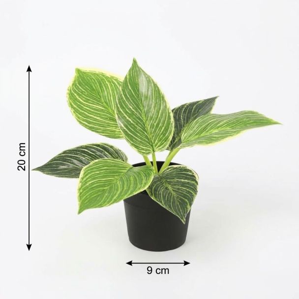 Kunst-Philodendron Birkin abmessungen