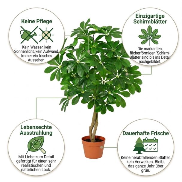 Kunst-Schefflera Arboricola vorteile