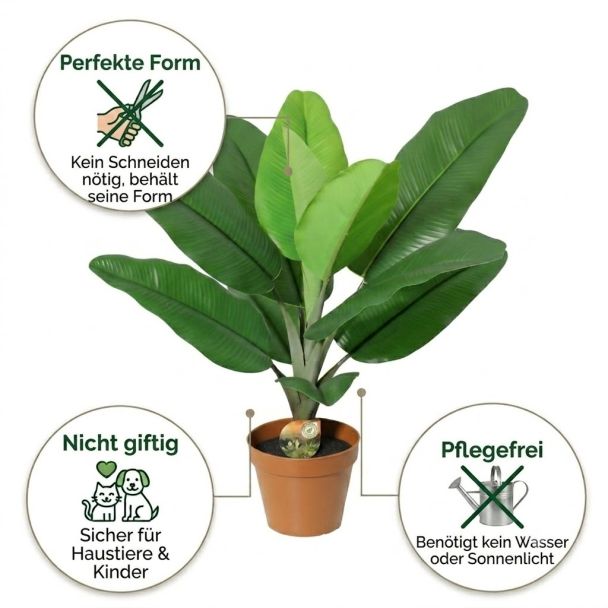 Kunst-Philodendron Dschungelkönig vorteile