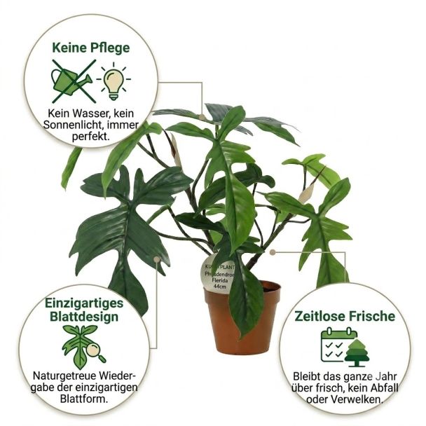 Kunst-Philodendron Florida vorteile