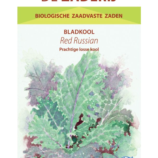 Bladkoolzaad Red Russian – biologische bladkool met paarse nerven