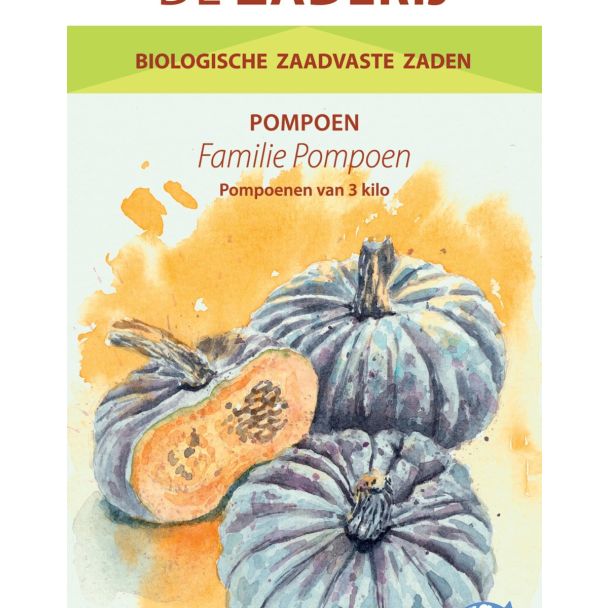 Pompoenzaad Familiepompoen – biologische oranje pompoen