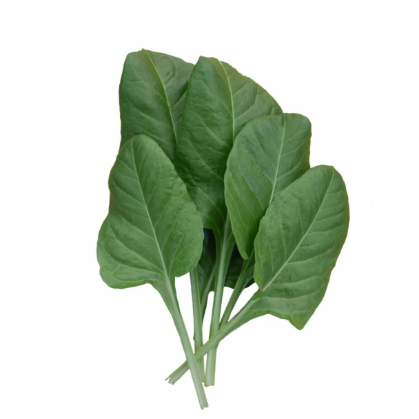 Warmoes zaad voor beginners