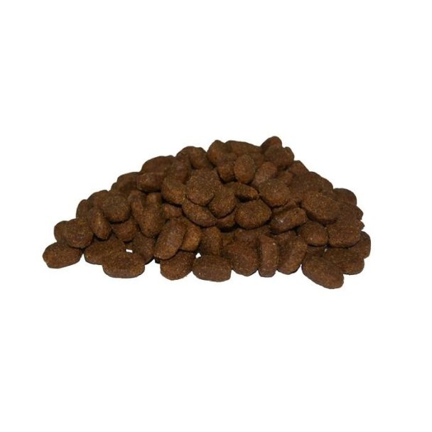 Super Premium Junior – optimale spijsvertering en glanzende vacht