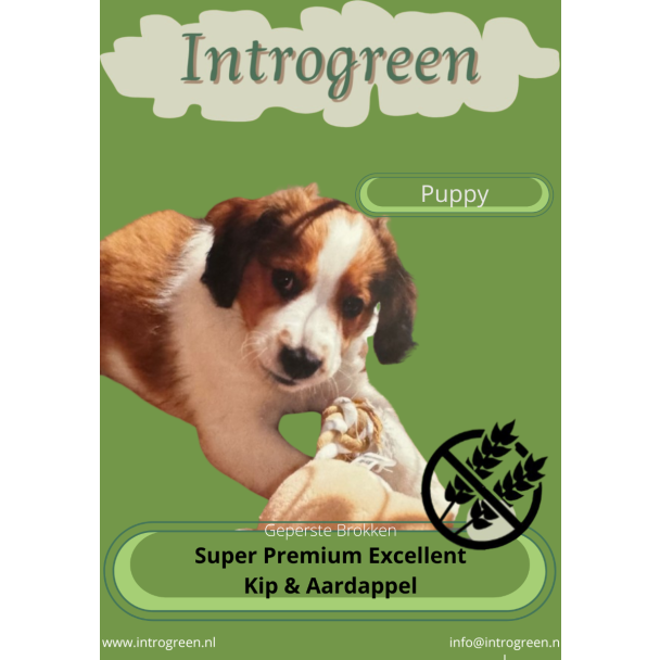 Graanvrije hondenbrokken met kip en aardappel – ondersteunt spieropbouw