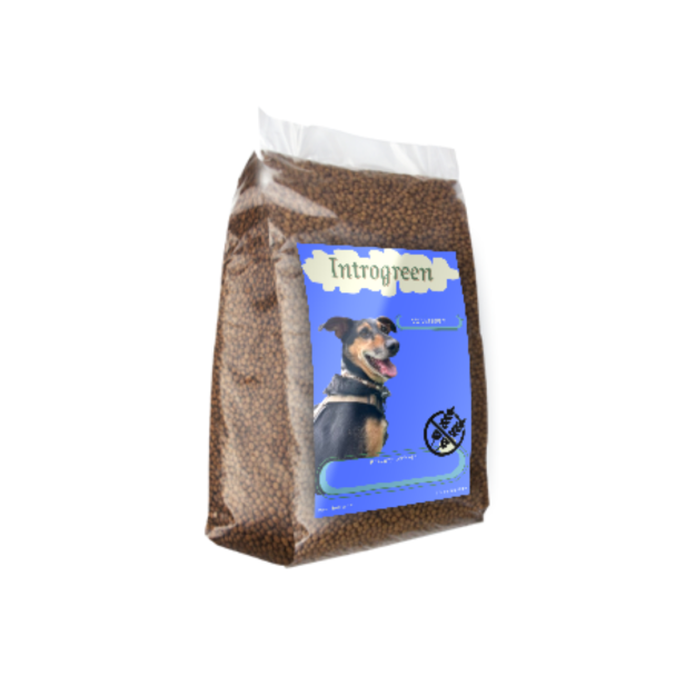 Super Premium Getreidefreies Hundefutter - Lachs & Kartoffel - Leicht Verdaulich