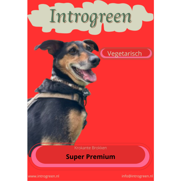 Plantaardige hondenbrokken – licht verteerbaar en voedzaam