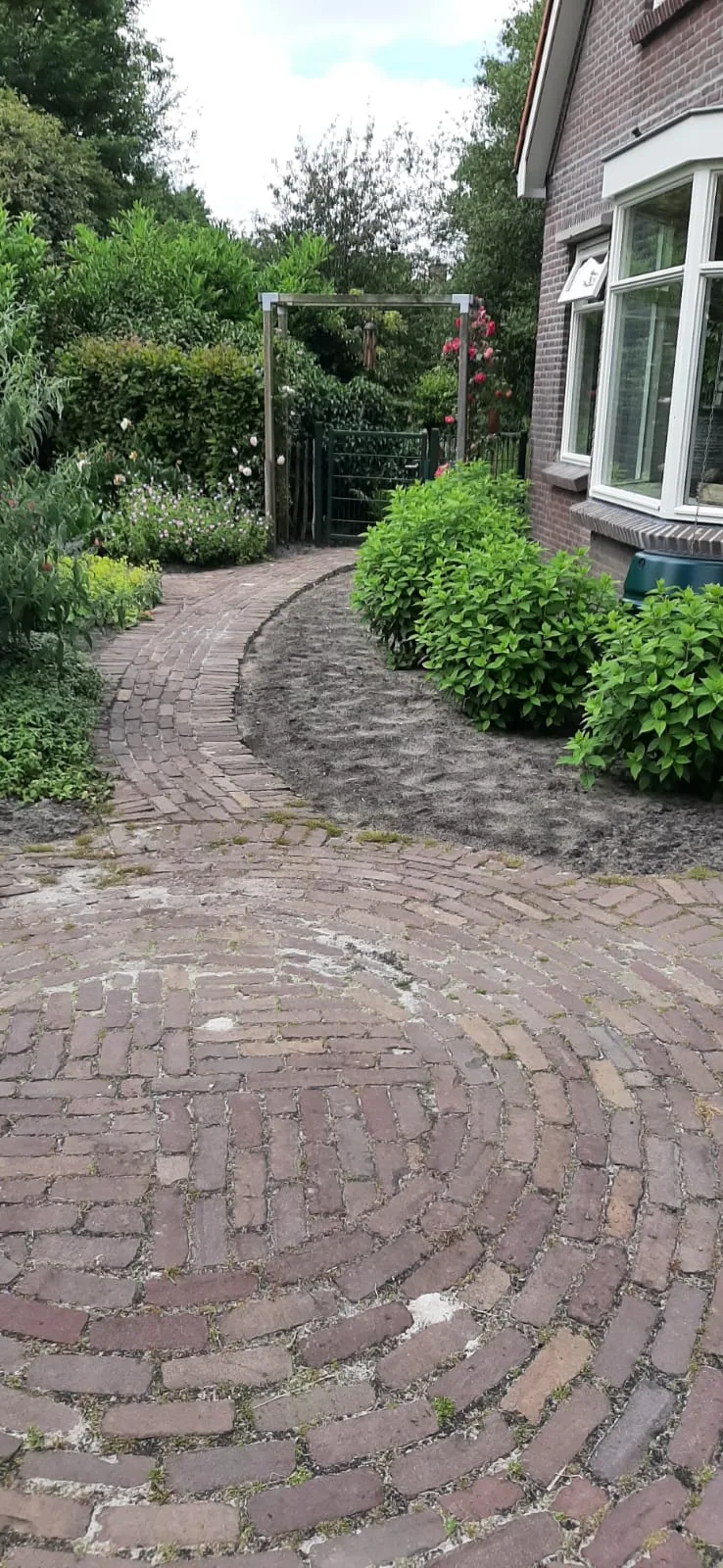 Anfangsphase: Das Beet treibt aus und gewinnt wieder an Volumen.
